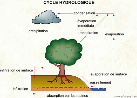 Cycle hydrologique